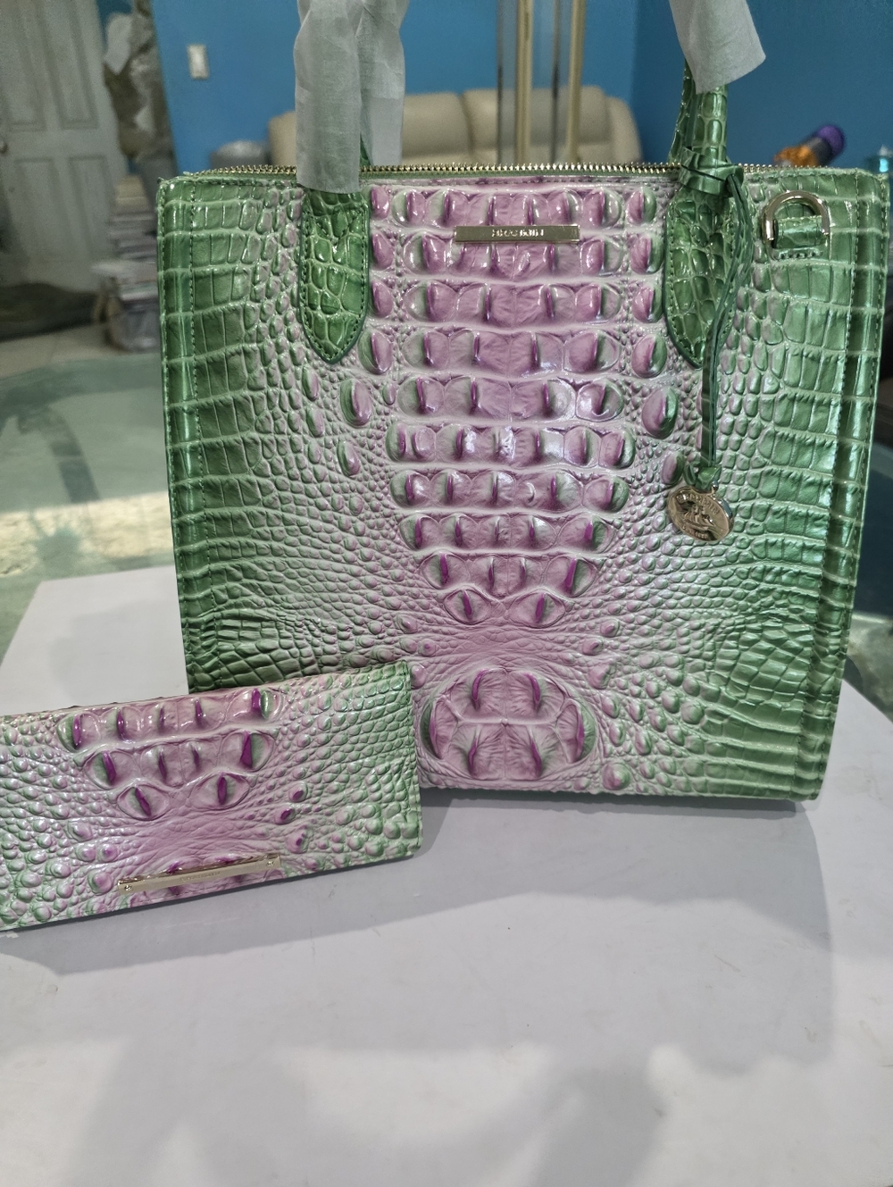 Brahmin New Caroline Set